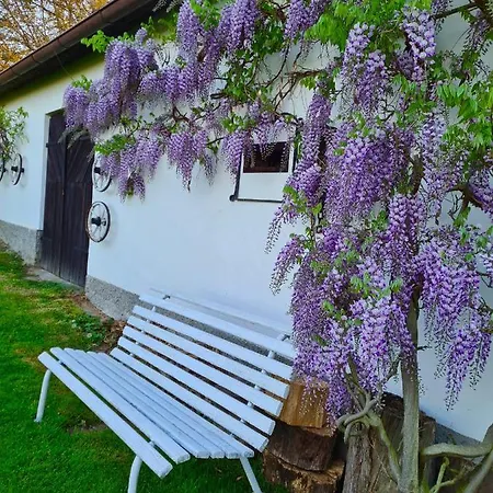 Venkovská Usedlost Horšice * Horsice